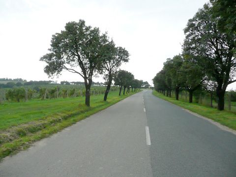 Foto 51